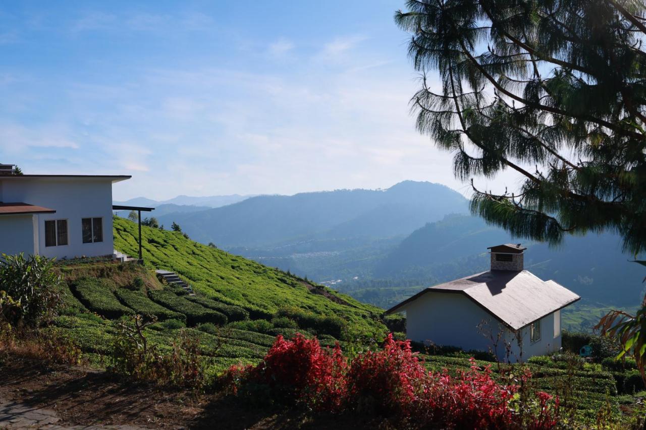 Planters Punch Resort Ooty Kültér fotó